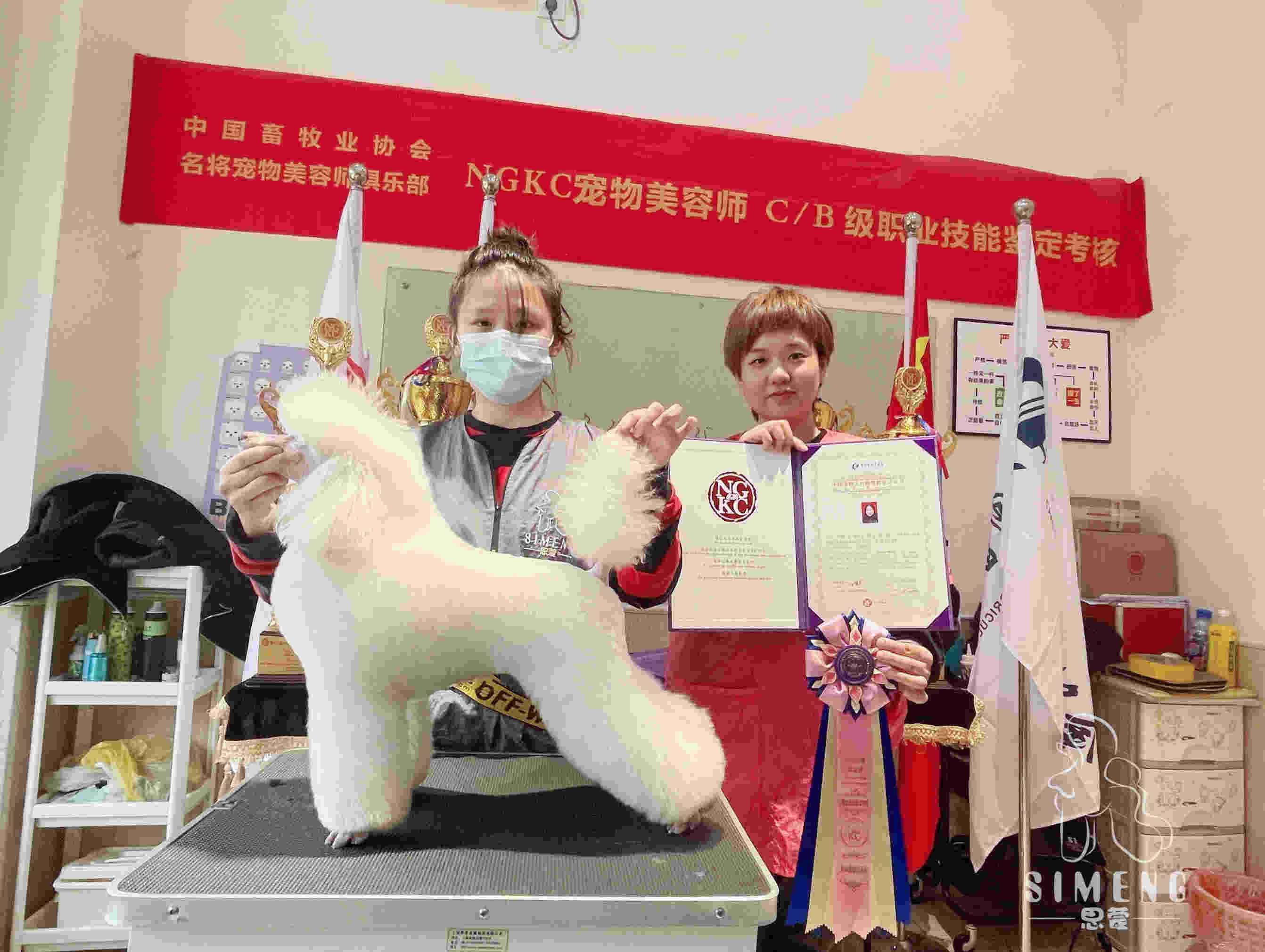 我們的榮譽