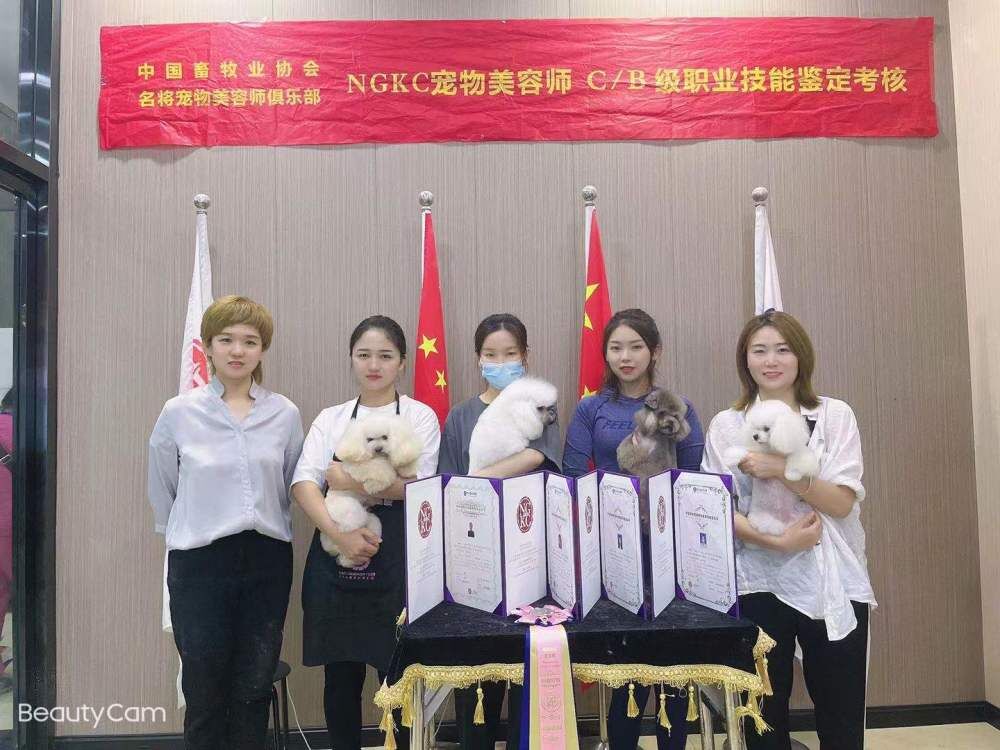 我們的榮譽