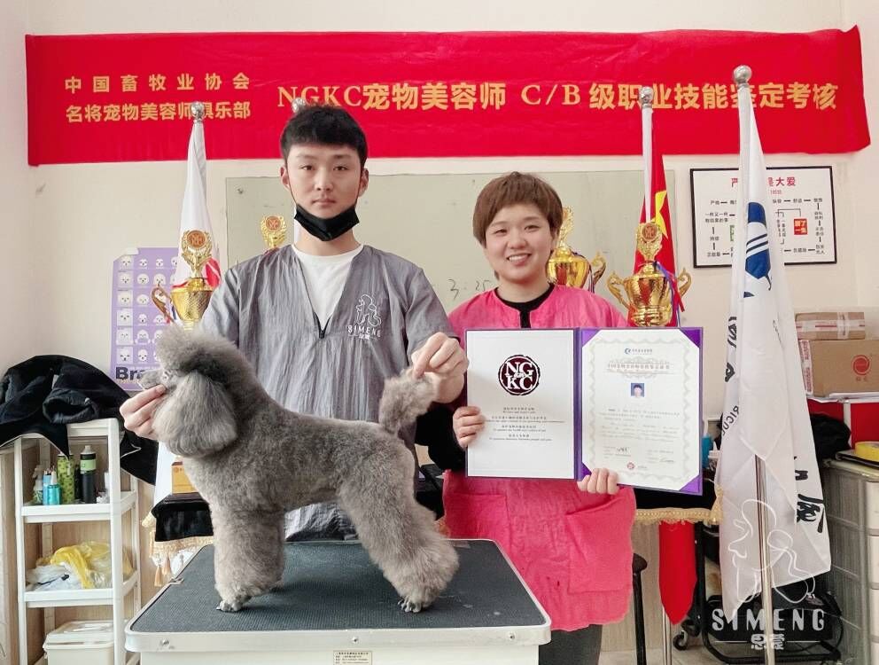 我們的榮譽