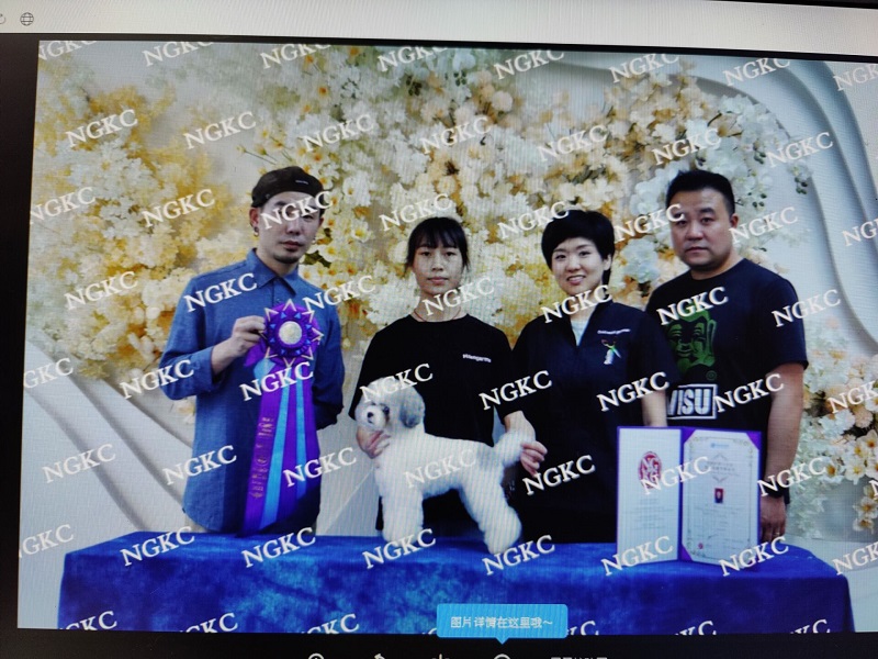 我們的榮譽