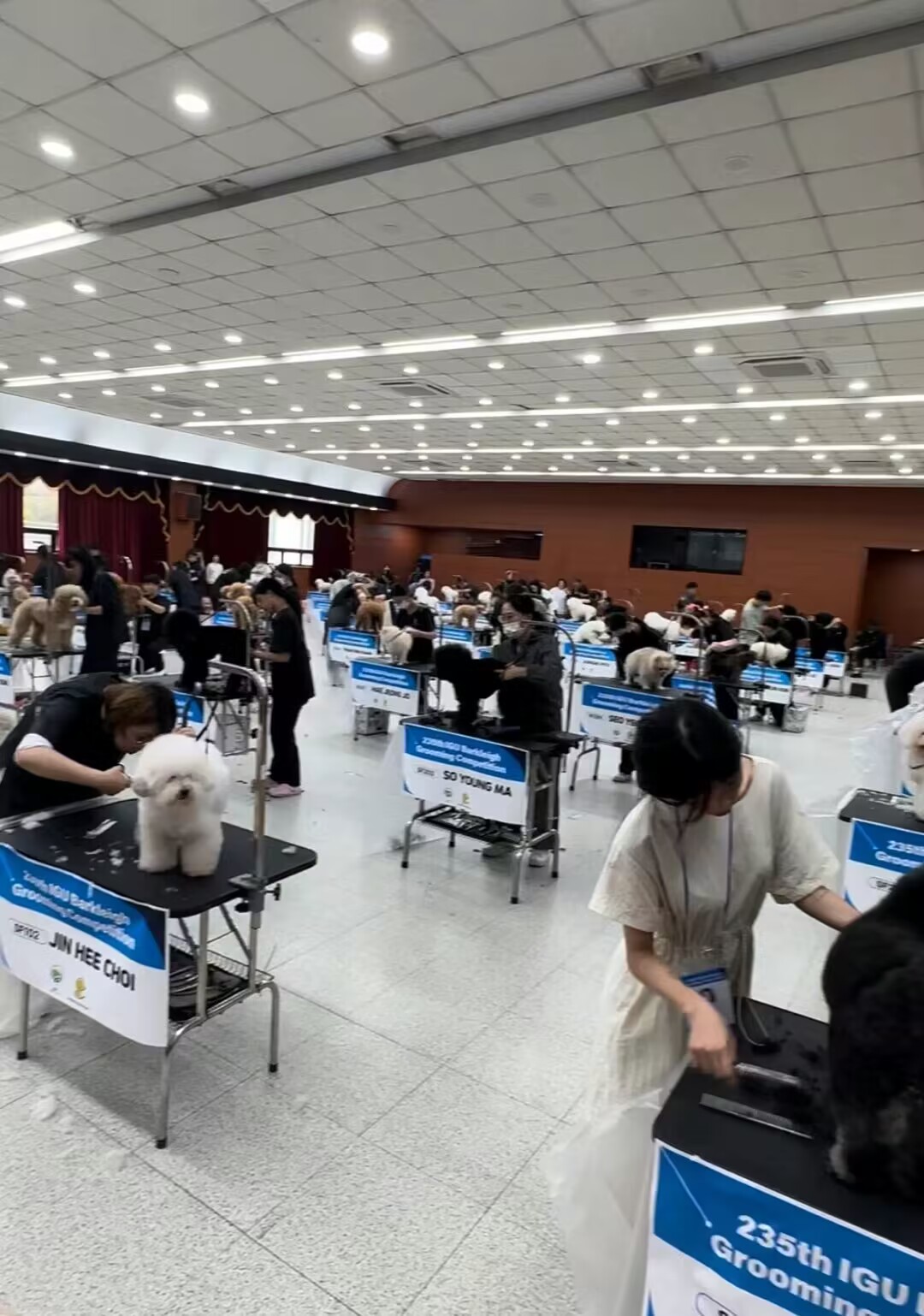 我們的榮譽