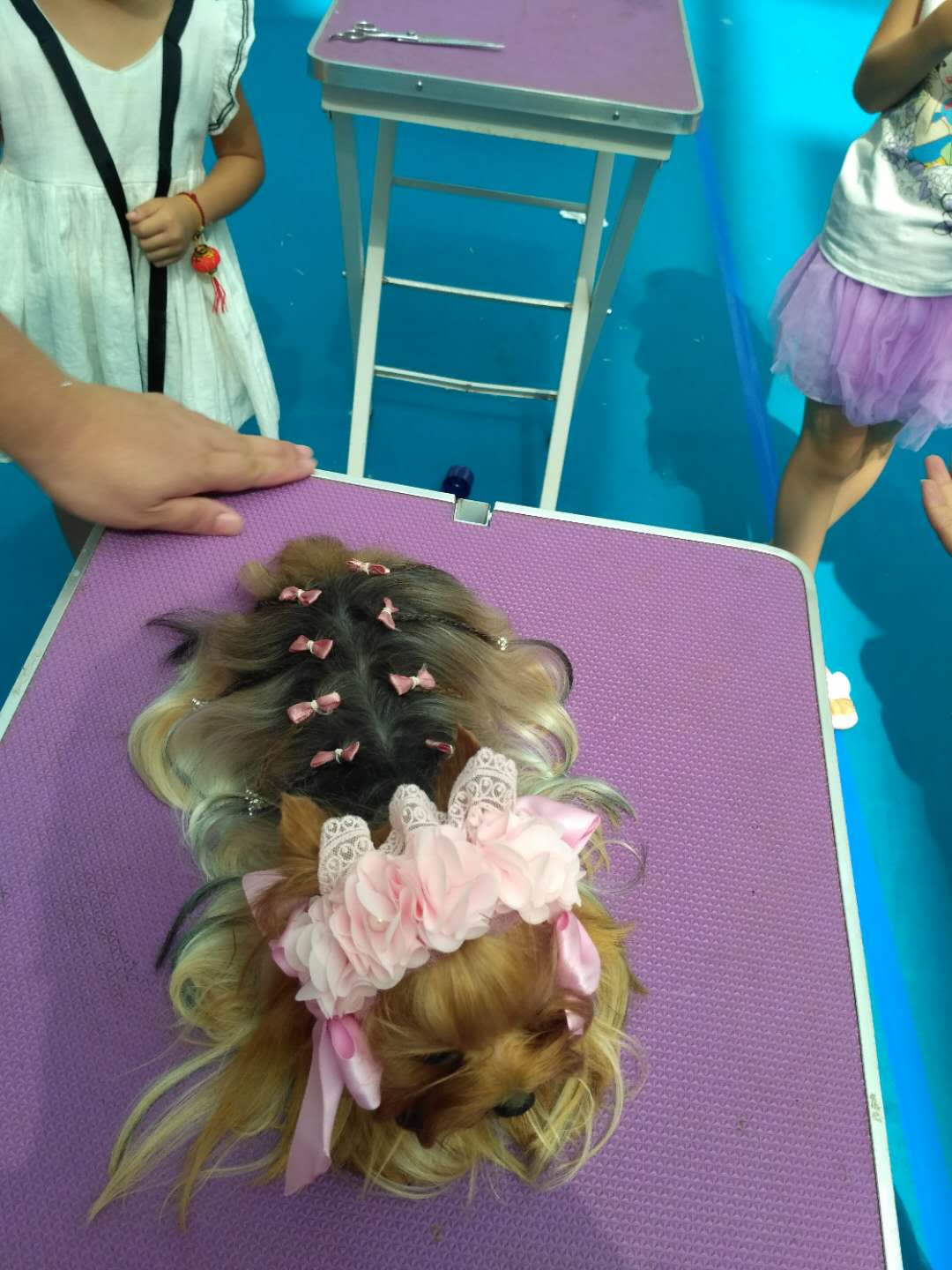 外聯活動
