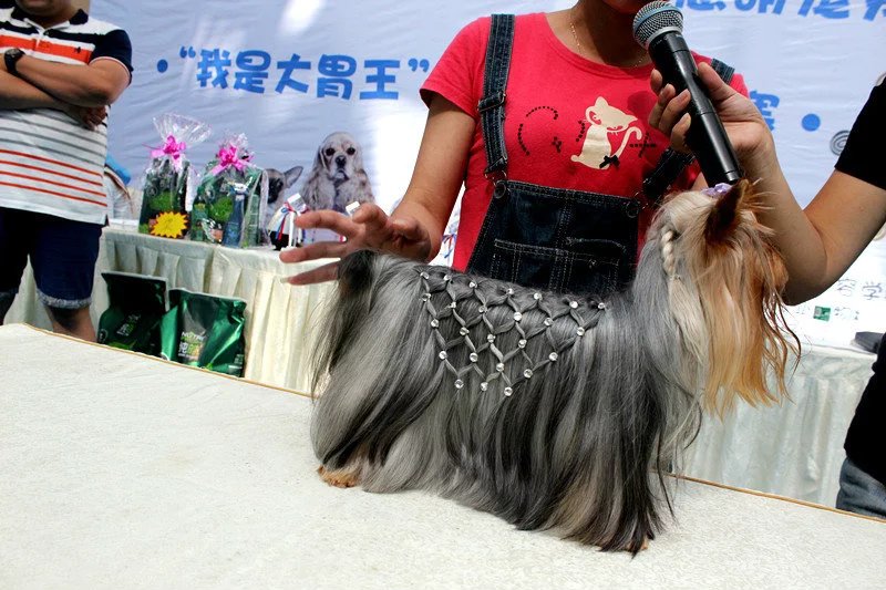 外聯活動