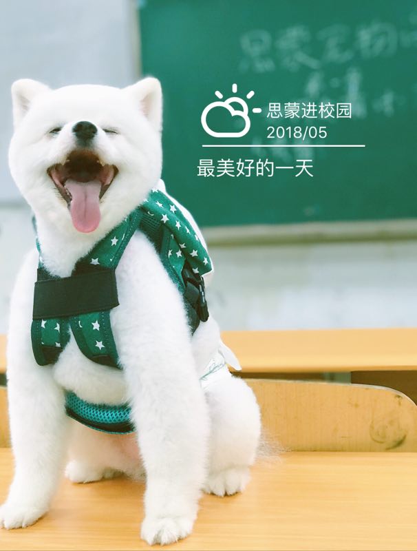 外聯活動