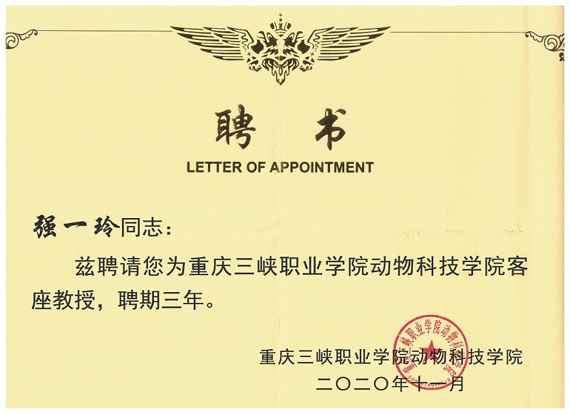 外聯活動