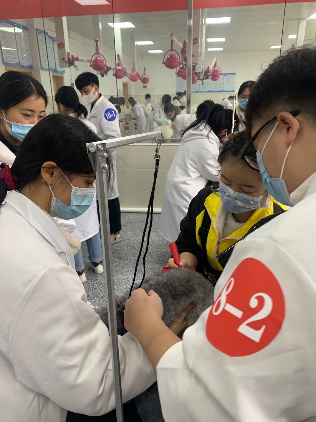 貴州銅仁職業技術學院