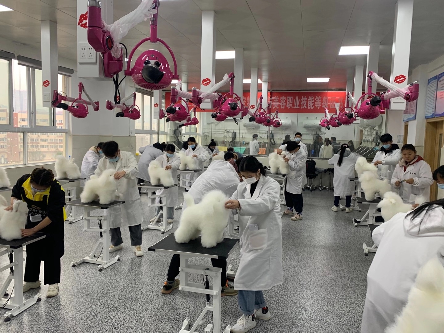 貴州銅仁職業技術學院
