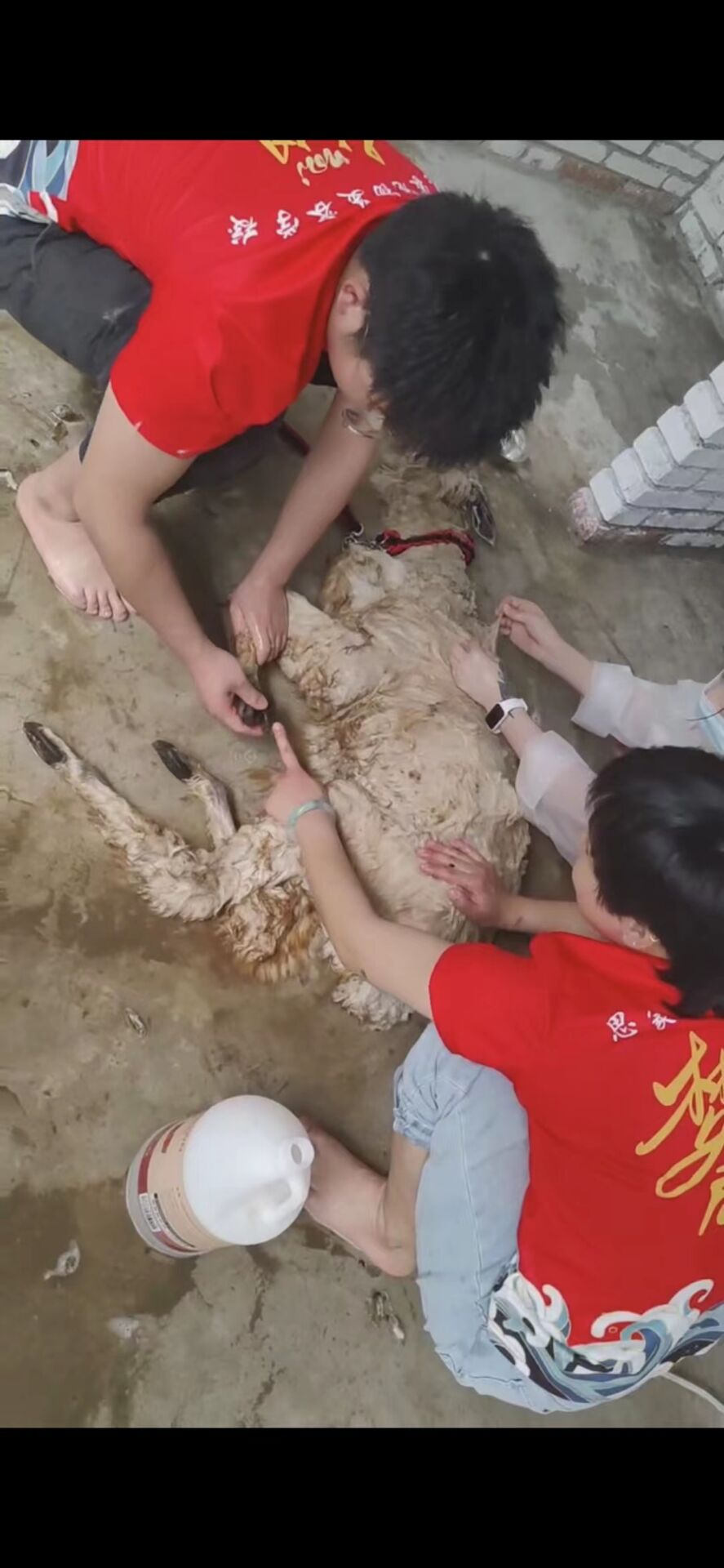 外聯活動