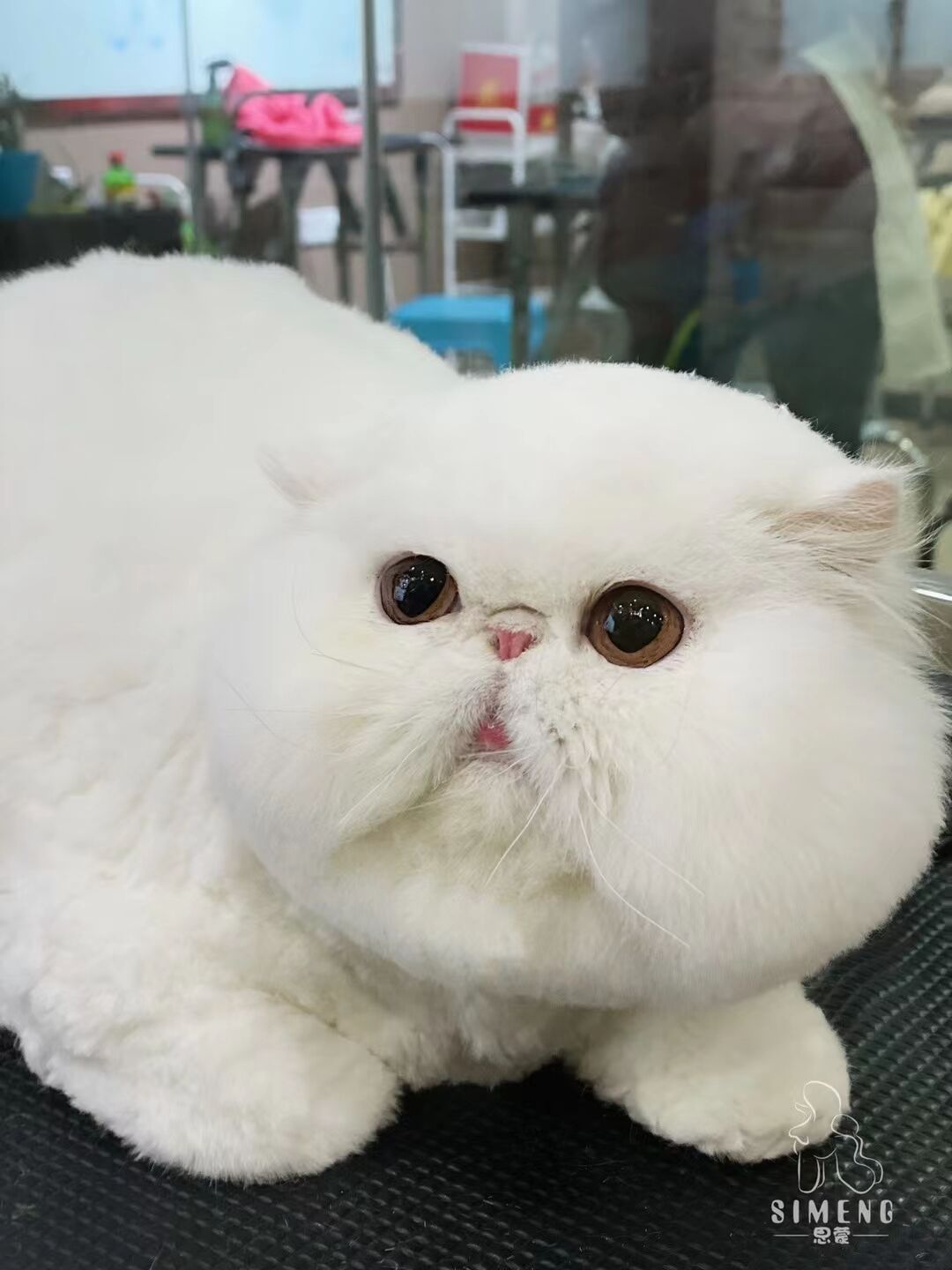 優秀作品