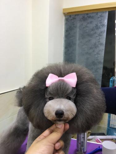 優秀作品