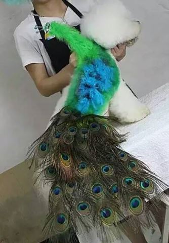 優秀作品