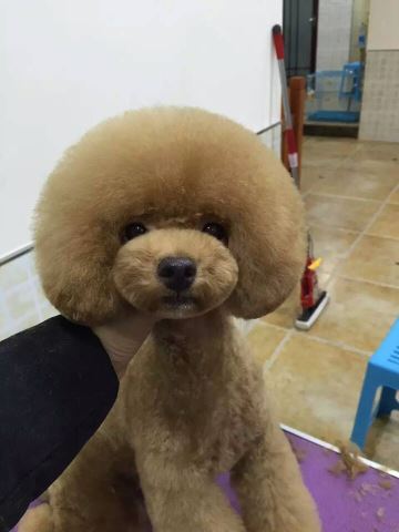 優秀作品
