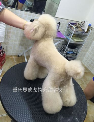 優秀作品