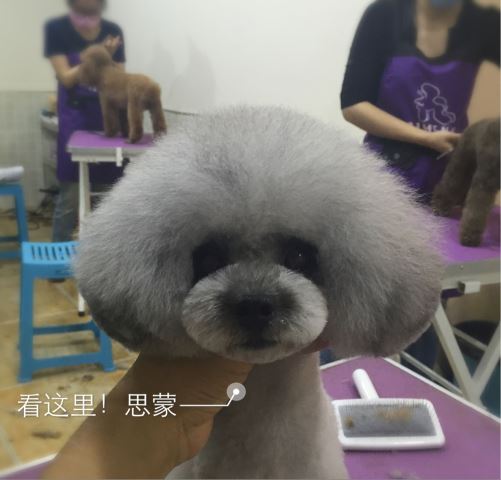 優秀作品