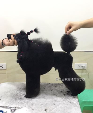優秀作品