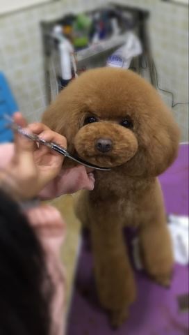 優秀作品
