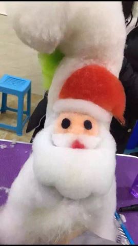 優秀作品