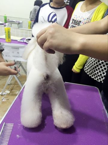 優秀作品