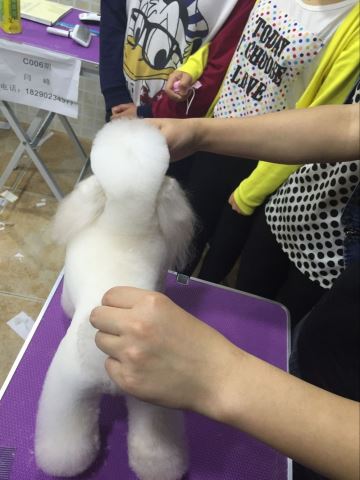 優秀作品