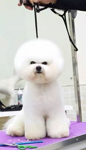 優秀作品