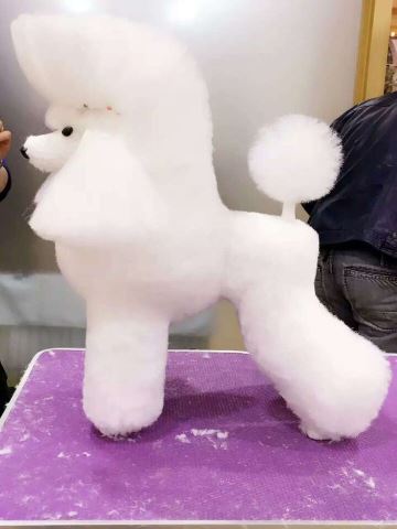 優秀作品