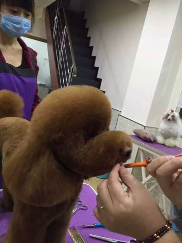 優秀作品