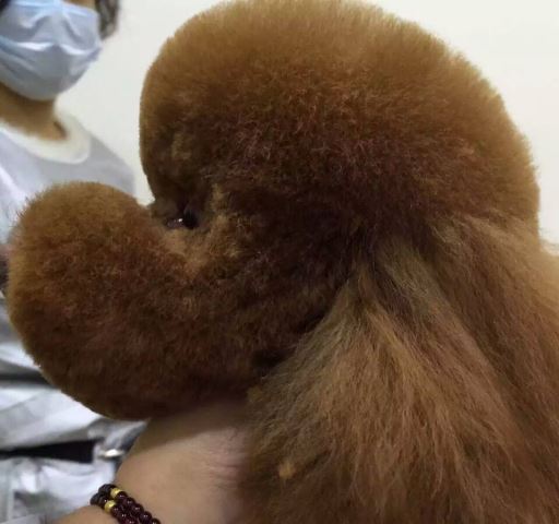 優秀作品