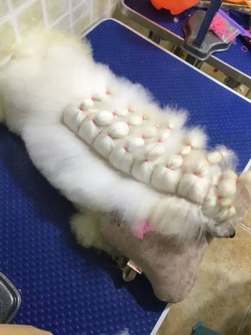 優秀作品