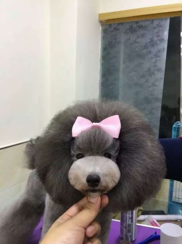 優秀作品