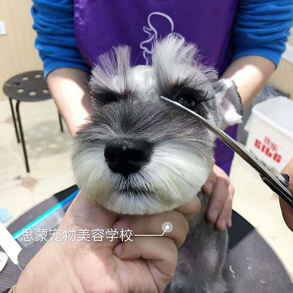 優秀作品