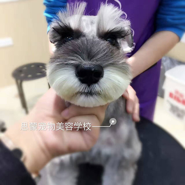 優秀作品