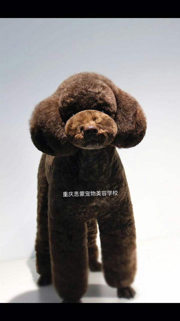 優秀作品