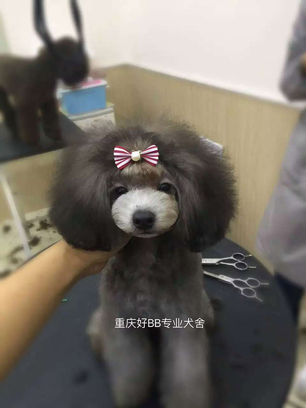 優秀作品