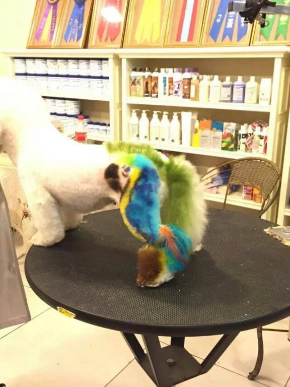 優秀作品