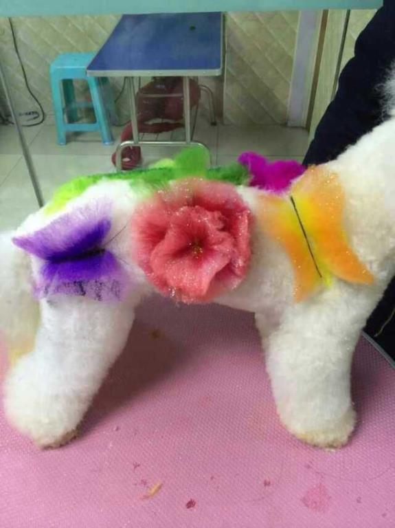 優(yōu)秀作品