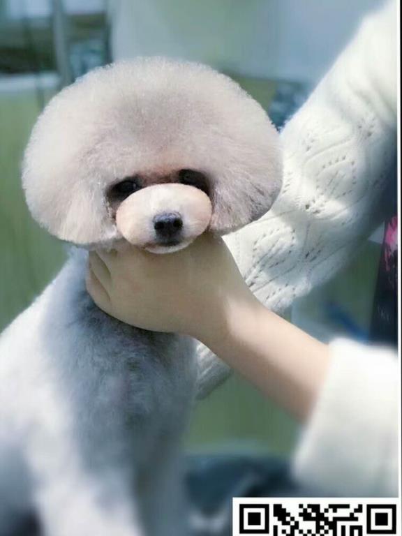 優(yōu)秀作品