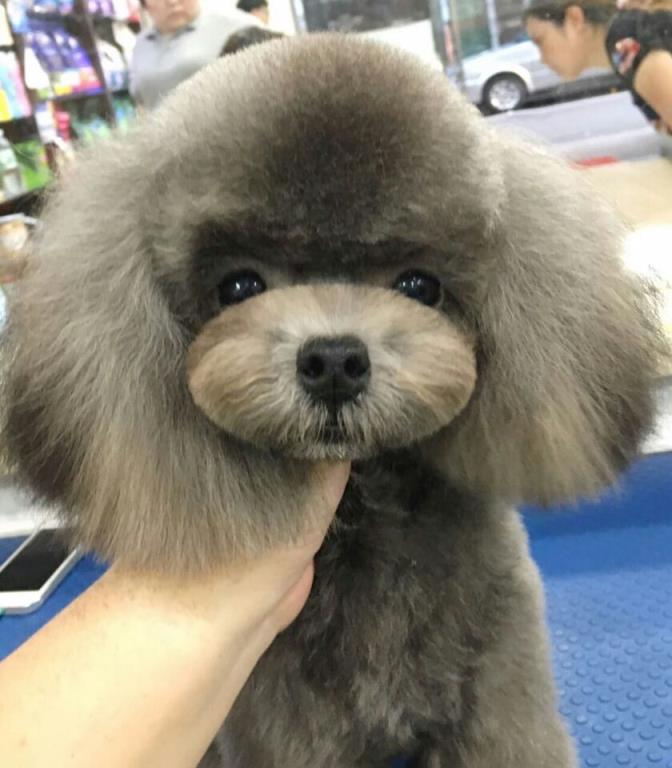 優(yōu)秀作品