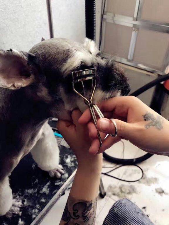 優秀作品