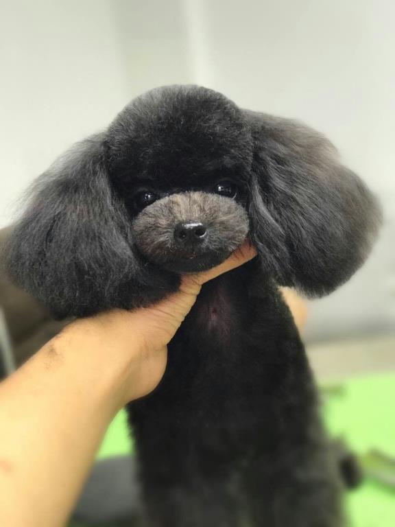 優秀作品