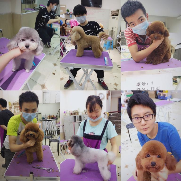 優秀作品