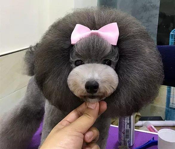 優秀作品