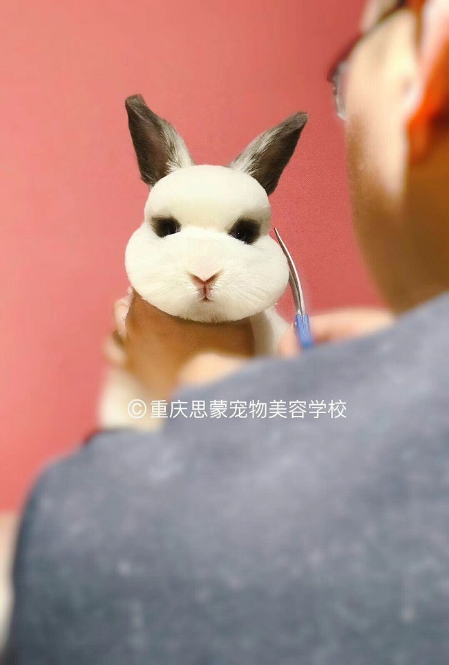 優秀作品
