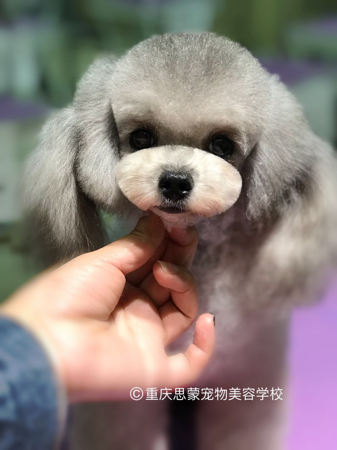 優秀作品