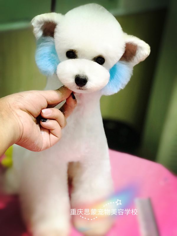 優秀作品