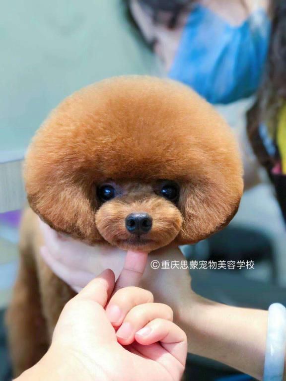 優秀作品