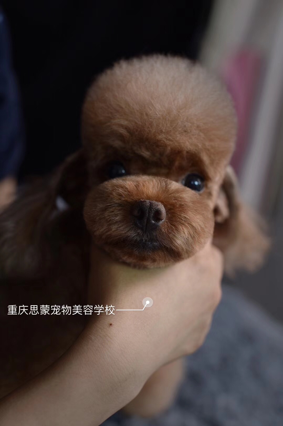 優秀作品