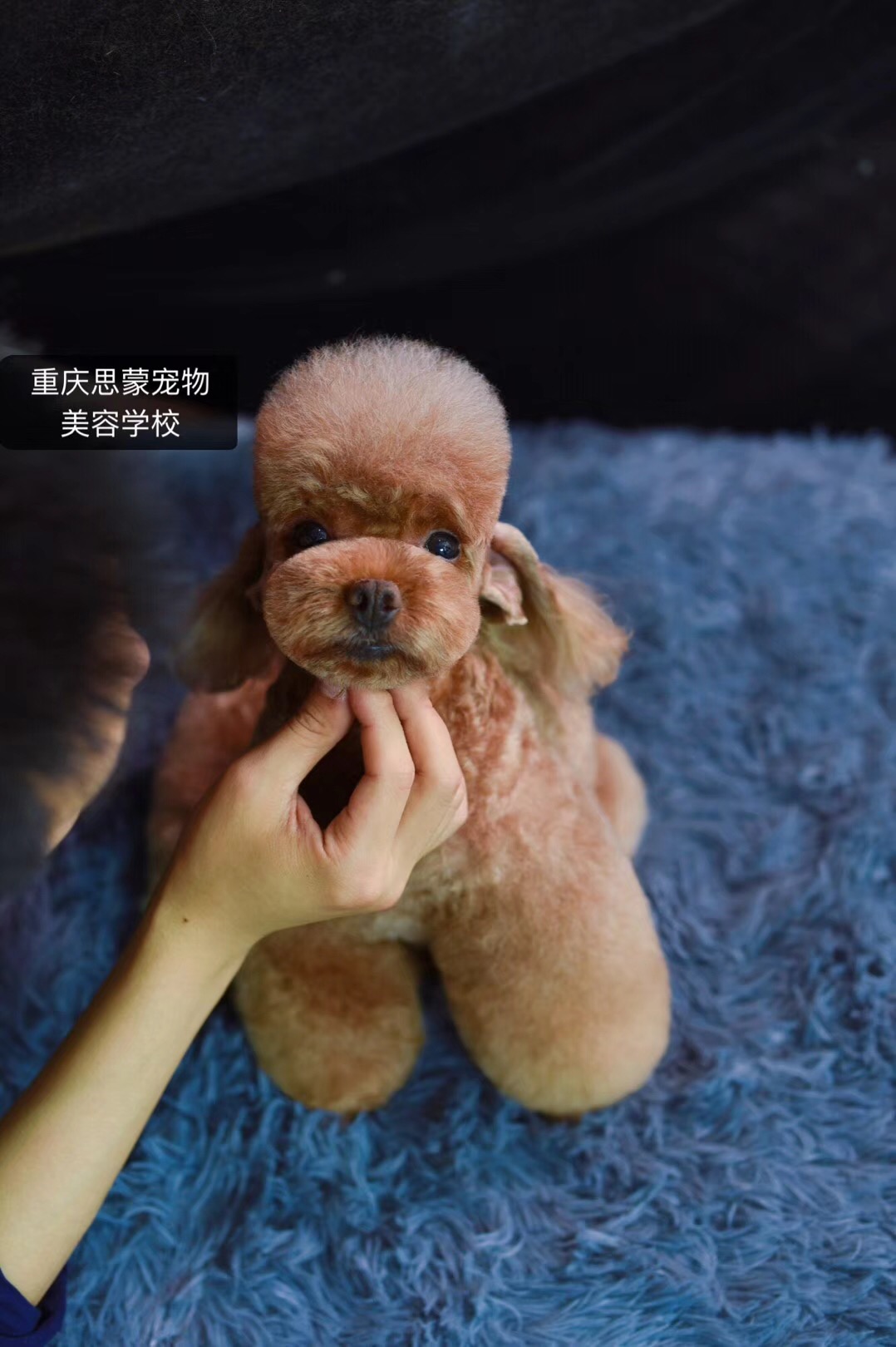 優秀作品