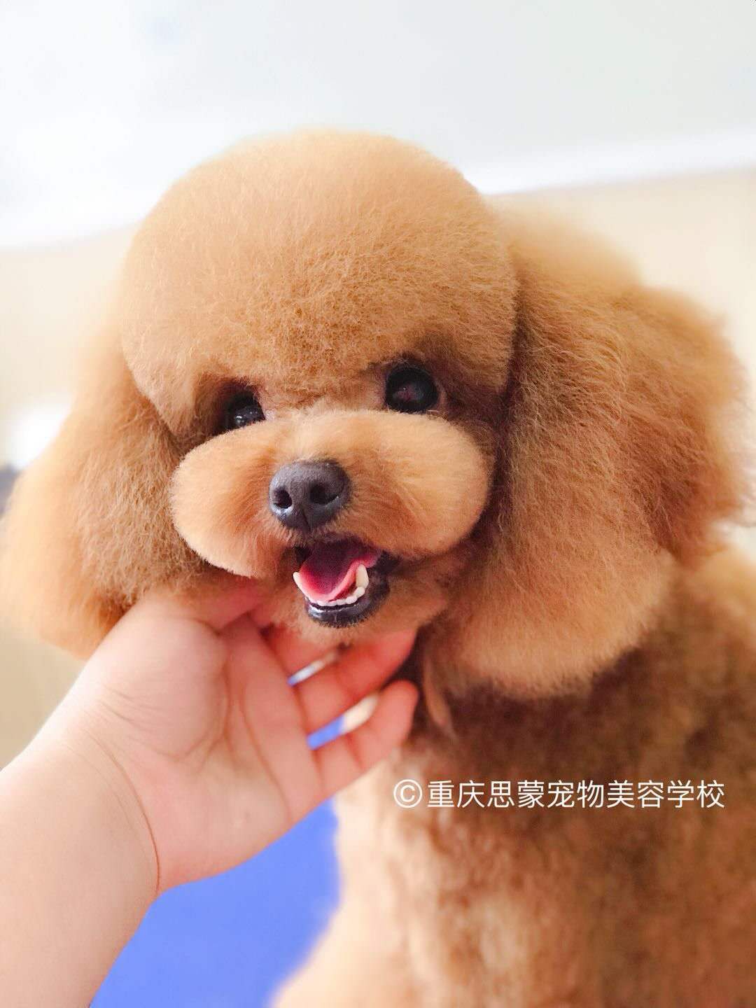 優秀作品