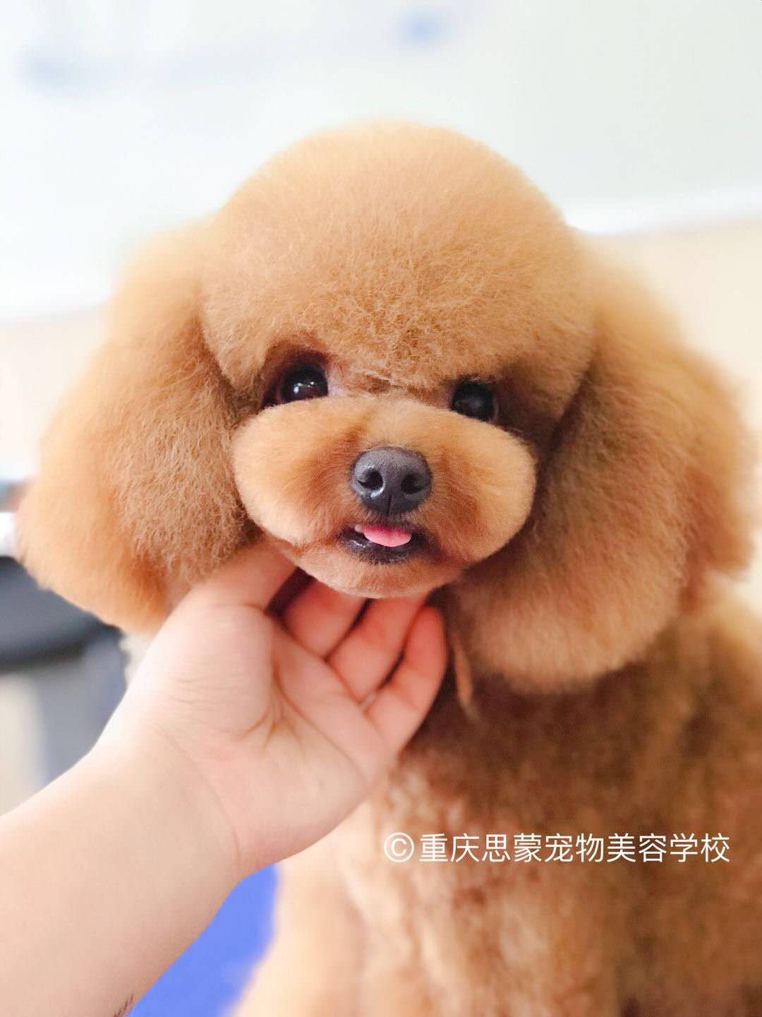 優秀作品