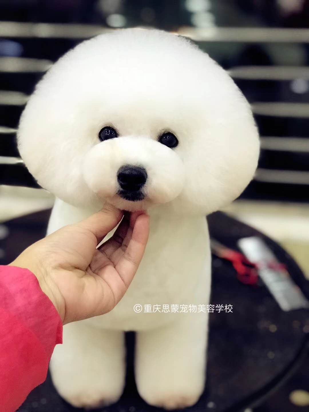 優(yōu)秀作品
